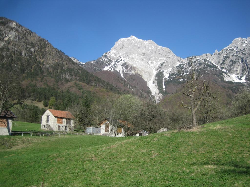 B&B L'Asinello Rampante Arta Terme Exterior photo